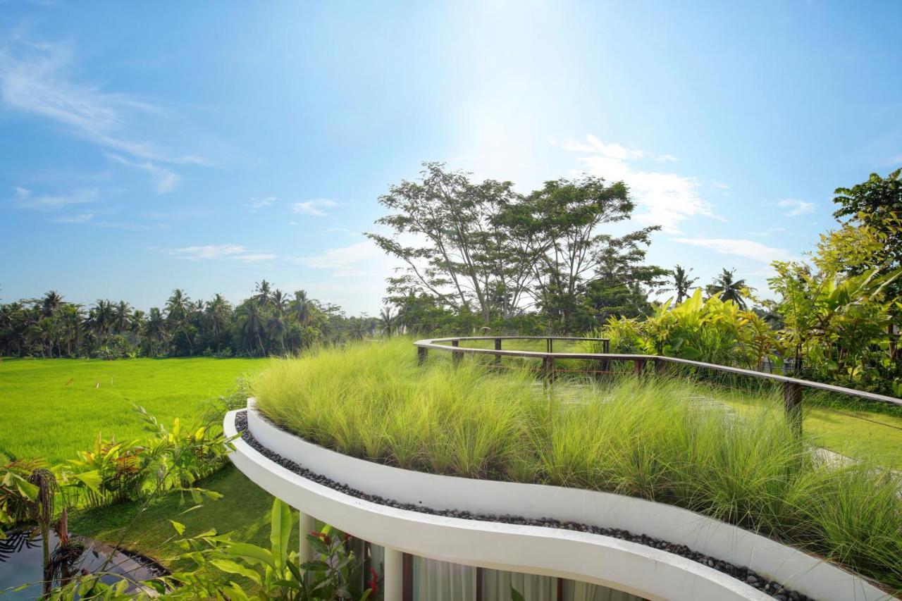 Mango Ubud Εξωτερικό φωτογραφία